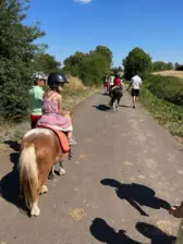 Centre de Allègre (Velay Ouest )} - Vacances - Galerie vacances d'été 2022