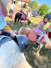 Centre de Velay Ouest (Allègre - Saint Paulien) - Vacances - Galerie vacances d'été 2022