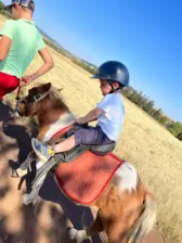 Centre de Allègre (Velay Ouest )} - Vacances - Galerie vacances d'été 2022