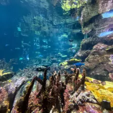 Séjour ✨ Un voyage ludique et culturel au cœur de la Normandie ✨ - Galerie La cité de la mer / deuxième jour