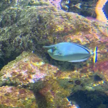 Séjour ✨ Un voyage ludique et culturel au cœur de la Normandie ✨ - Galerie La cité de la mer / deuxième jour