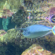 Séjour ✨ Un voyage ludique et culturel au cœur de la Normandie ✨ - Galerie La cité de la mer / deuxième jour