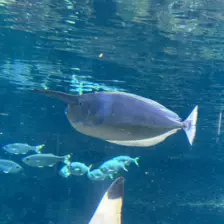 Séjour ✨ Un voyage ludique et culturel au cœur de la Normandie ✨ - Galerie La cité de la mer / deuxième jour