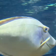 Séjour ✨ Un voyage ludique et culturel au cœur de la Normandie ✨ - Galerie La cité de la mer / deuxième jour