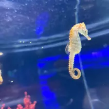 Séjour ✨ Un voyage ludique et culturel au cœur de la Normandie ✨ - Galerie La cité de la mer / deuxième jour