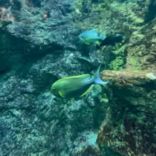 Séjour ✨ Un voyage ludique et culturel au cœur de la Normandie ✨ - Galerie La cité de la mer / deuxième jour