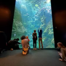 Séjour ✨ Un voyage ludique et culturel au cœur de la Normandie ✨ - Galerie La cité de la mer / deuxième jour