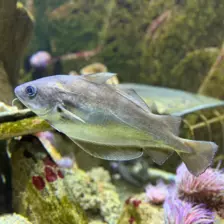 Séjour ✨ Un voyage ludique et culturel au cœur de la Normandie ✨ - Galerie La cité de la mer / deuxième jour