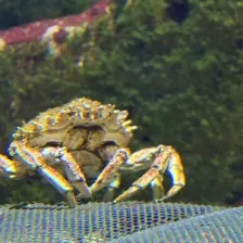 Séjour ✨ Un voyage ludique et culturel au cœur de la Normandie ✨ - Galerie La cité de la mer / deuxième jour