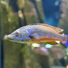 Séjour ✨ Un voyage ludique et culturel au cœur de la Normandie ✨ - Galerie La cité de la mer / deuxième jour