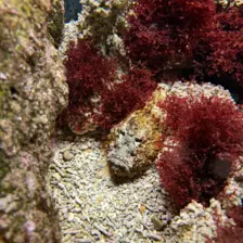 Séjour ✨ Un voyage ludique et culturel au cœur de la Normandie ✨ - Galerie La cité de la mer / deuxième jour
