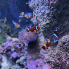 Séjour ✨ Un voyage ludique et culturel au cœur de la Normandie ✨ - Galerie La cité de la mer / deuxième jour