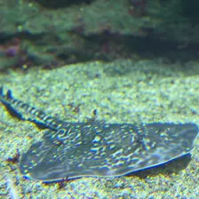 Séjour ✨ Un voyage ludique et culturel au cœur de la Normandie ✨ - Galerie La cité de la mer / deuxième jour