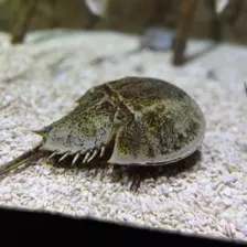 Séjour ✨ Un voyage ludique et culturel au cœur de la Normandie ✨ - Galerie La cité de la mer / deuxième jour