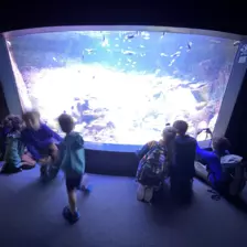 Séjour ✨ Un voyage ludique et culturel au cœur de la Normandie ✨ - Galerie La cité de la mer / deuxième jour