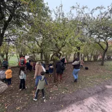 Séjour ✨ Un voyage ludique et culturel au cœur de la Normandie ✨ - Galerie Mont St Michel et visite de la ferme / jour 4