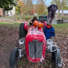 Séjour ✨ Un voyage ludique et culturel au cœur de la Normandie ✨ - Galerie Mont St Michel et visite de la ferme / jour 4