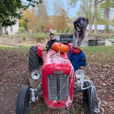 Séjour ✨ Un voyage ludique et culturel au cœur de la Normandie ✨ - Galerie Mont St Michel et visite de la ferme / jour 4