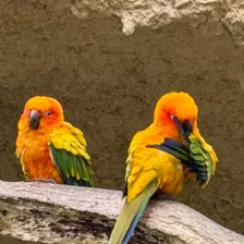 Séjour ✨ Un voyage ludique et culturel au cœur de la Normandie ✨ - Galerie Zoo de Beauval / jour 5