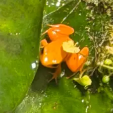 Séjour ✨ Un voyage ludique et culturel au cœur de la Normandie ✨ - Galerie Zoo de Beauval / jour 5