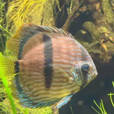 Séjour ✨ Un voyage ludique et culturel au cœur de la Normandie ✨ - Galerie Zoo de Beauval / jour 5