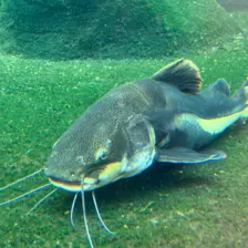 Séjour ✨ Un voyage ludique et culturel au cœur de la Normandie ✨ - Galerie Zoo de Beauval / jour 5