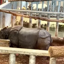 Séjour ✨ Un voyage ludique et culturel au cœur de la Normandie ✨ - Galerie Zoo de Beauval / jour 5