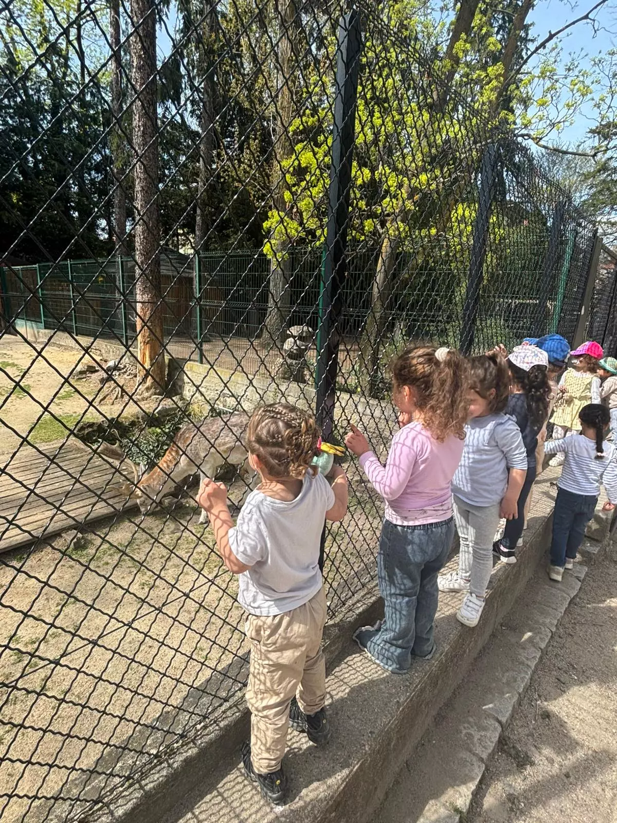 Centre de Vals Prés le Puy - Vacances - Galerie Été 2025