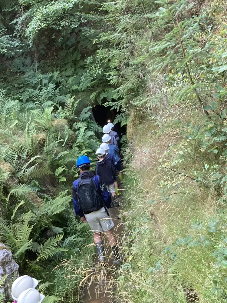 Centre de Saugues - Vacances - Galerie Mini-camps « Tous en forêt » - Fonchaude - 2022
