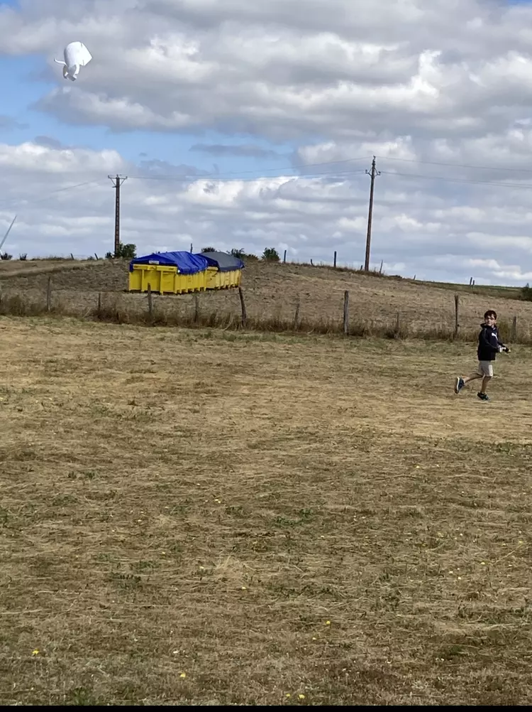 Centre de Saugues - Vacances - Galerie Mini-camps « Tous en forêt » - Fonchaude - 2022