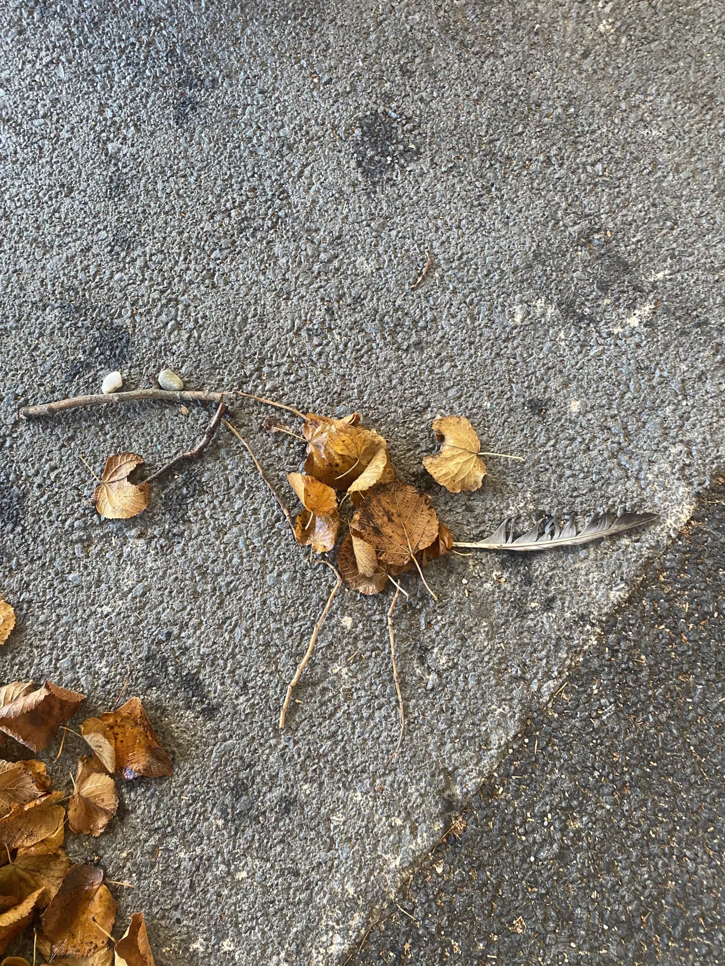 Centre de Siaugues Sainte Marie - Vacances - Galerie Octobre 2025