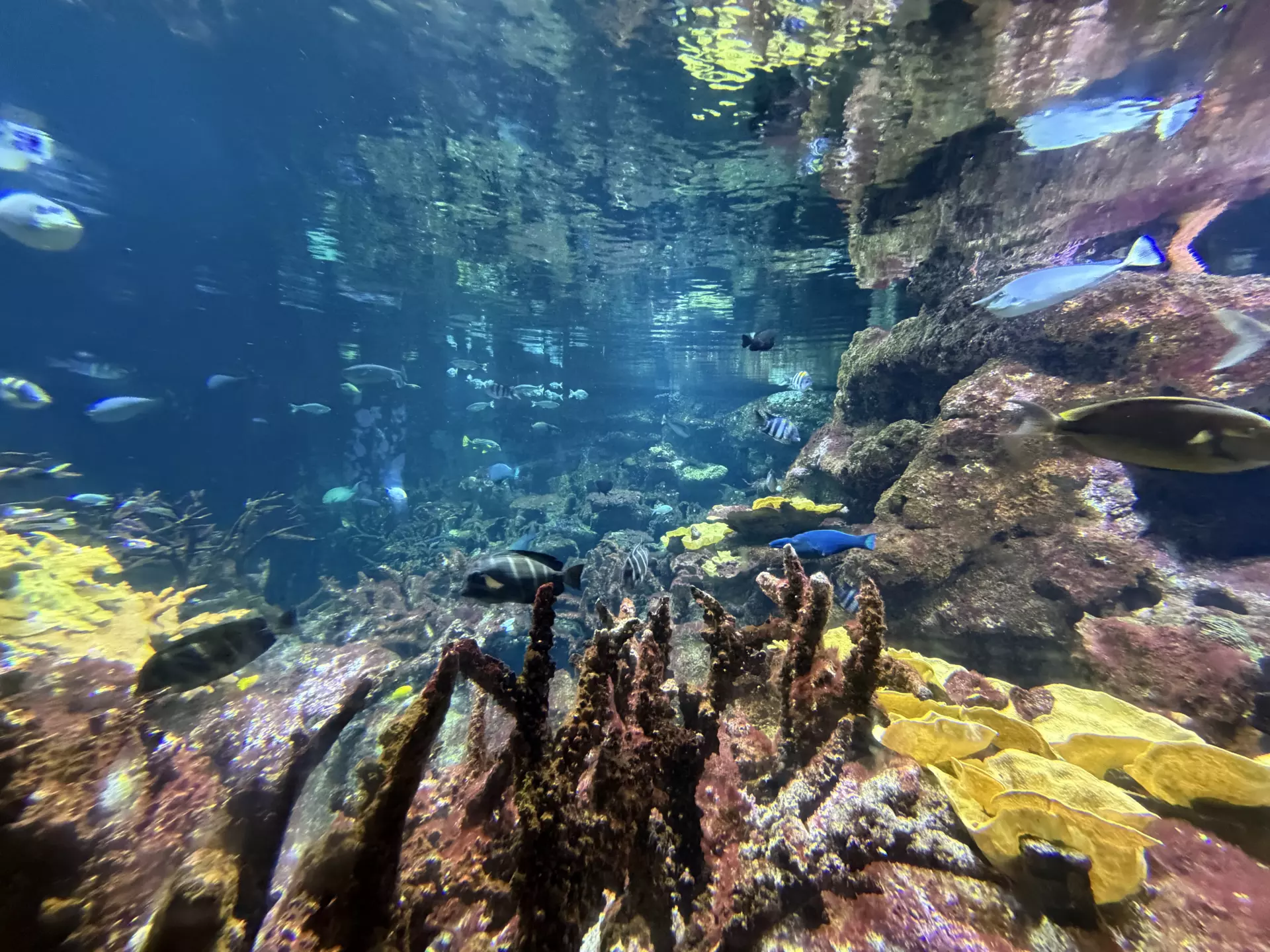 Séjour ✨ Un voyage ludique et culturel au cœur de la Normandie ✨ - Galerie La cité de la mer / deuxième jour