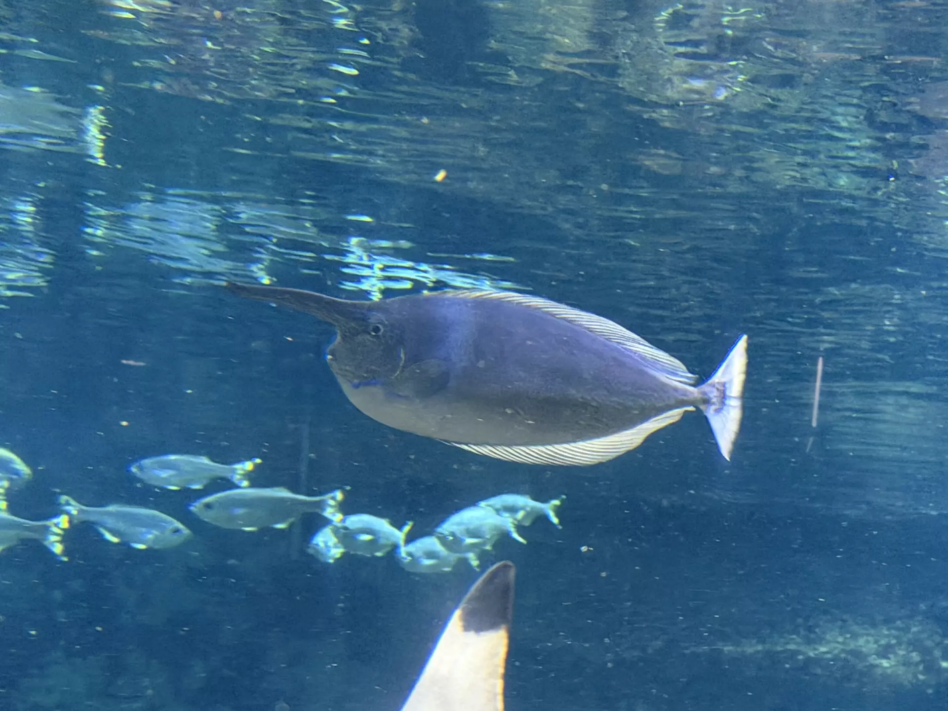 Séjour ✨ Un voyage ludique et culturel au cœur de la Normandie ✨ - Galerie La cité de la mer / deuxième jour