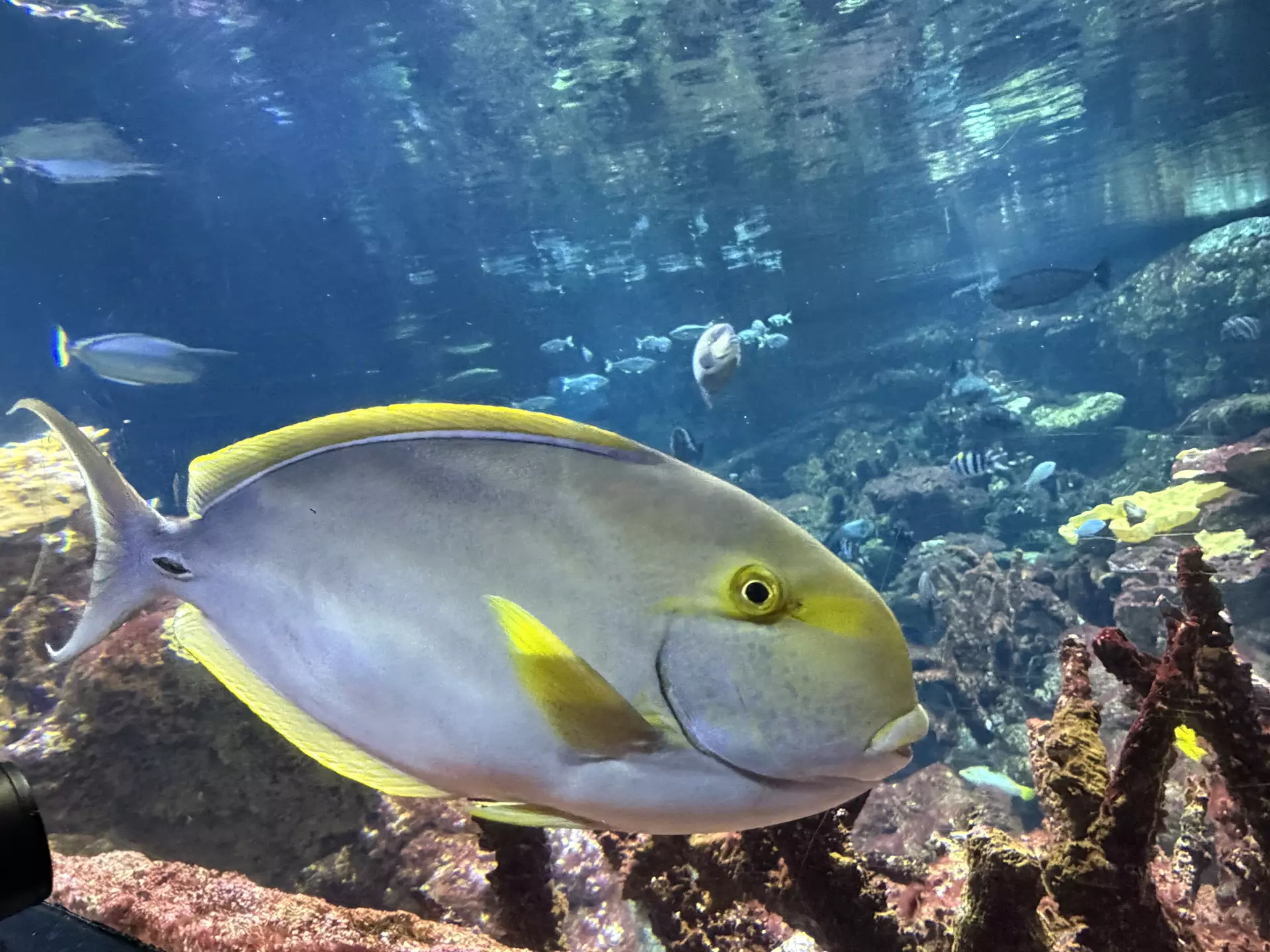 Séjour ✨ Un voyage ludique et culturel au cœur de la Normandie ✨ - Galerie La cité de la mer / deuxième jour