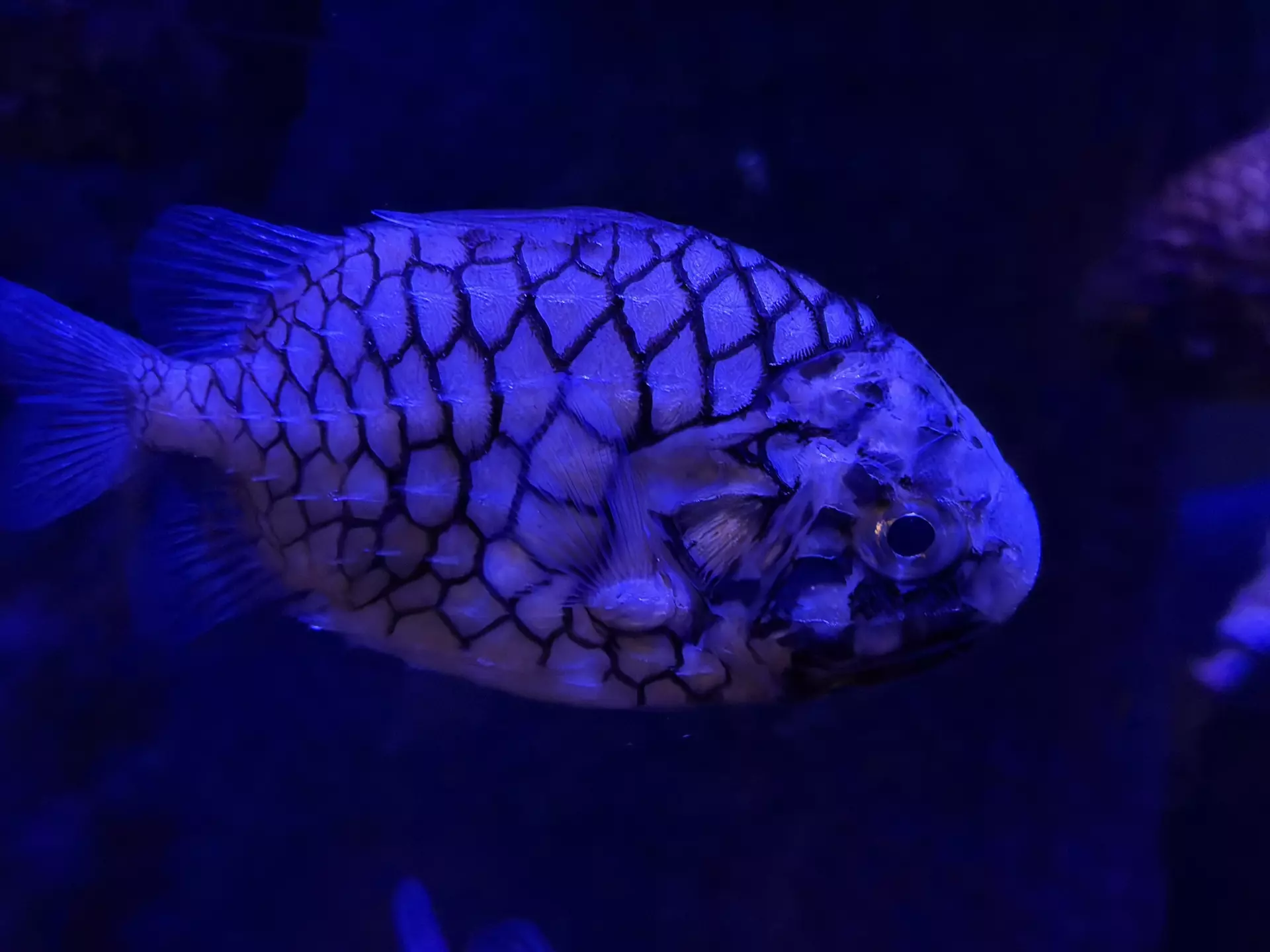 Séjour ✨ Un voyage ludique et culturel au cœur de la Normandie ✨ - Galerie La cité de la mer / deuxième jour