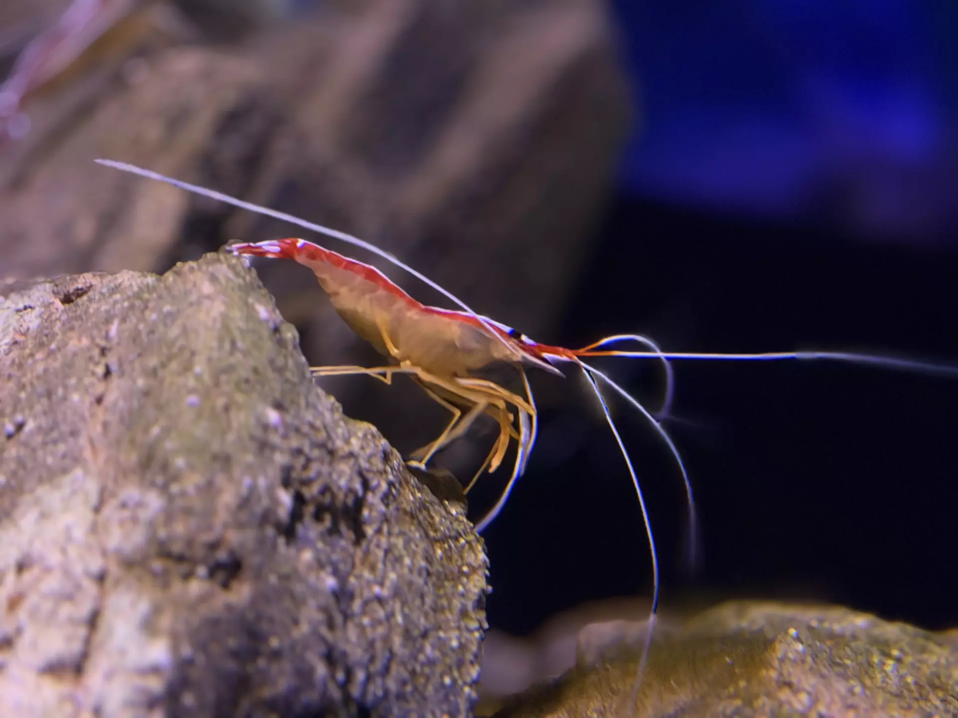 Séjour ✨ Un voyage ludique et culturel au cœur de la Normandie ✨ - Galerie La cité de la mer / deuxième jour