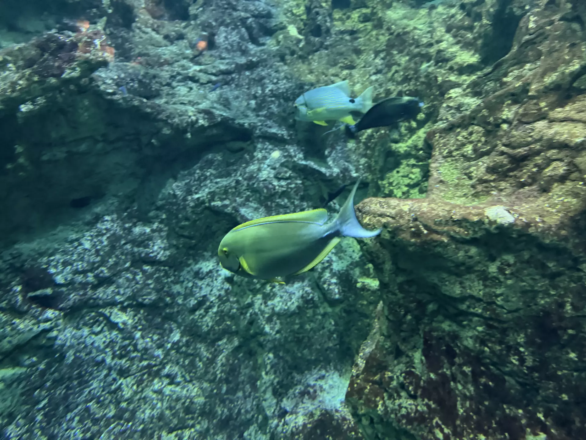 Séjour ✨ Un voyage ludique et culturel au cœur de la Normandie ✨ - Galerie La cité de la mer / deuxième jour