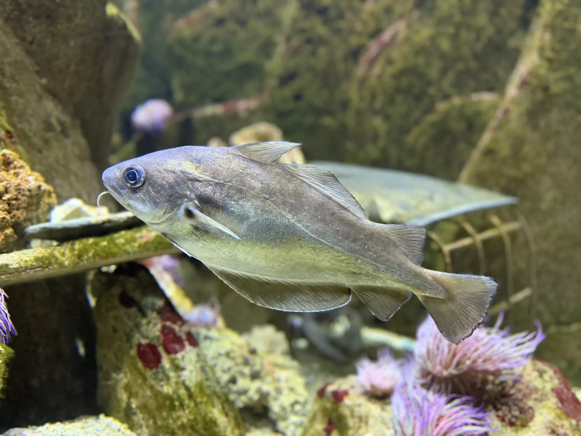 Séjour ✨ Un voyage ludique et culturel au cœur de la Normandie ✨ - Galerie La cité de la mer / deuxième jour