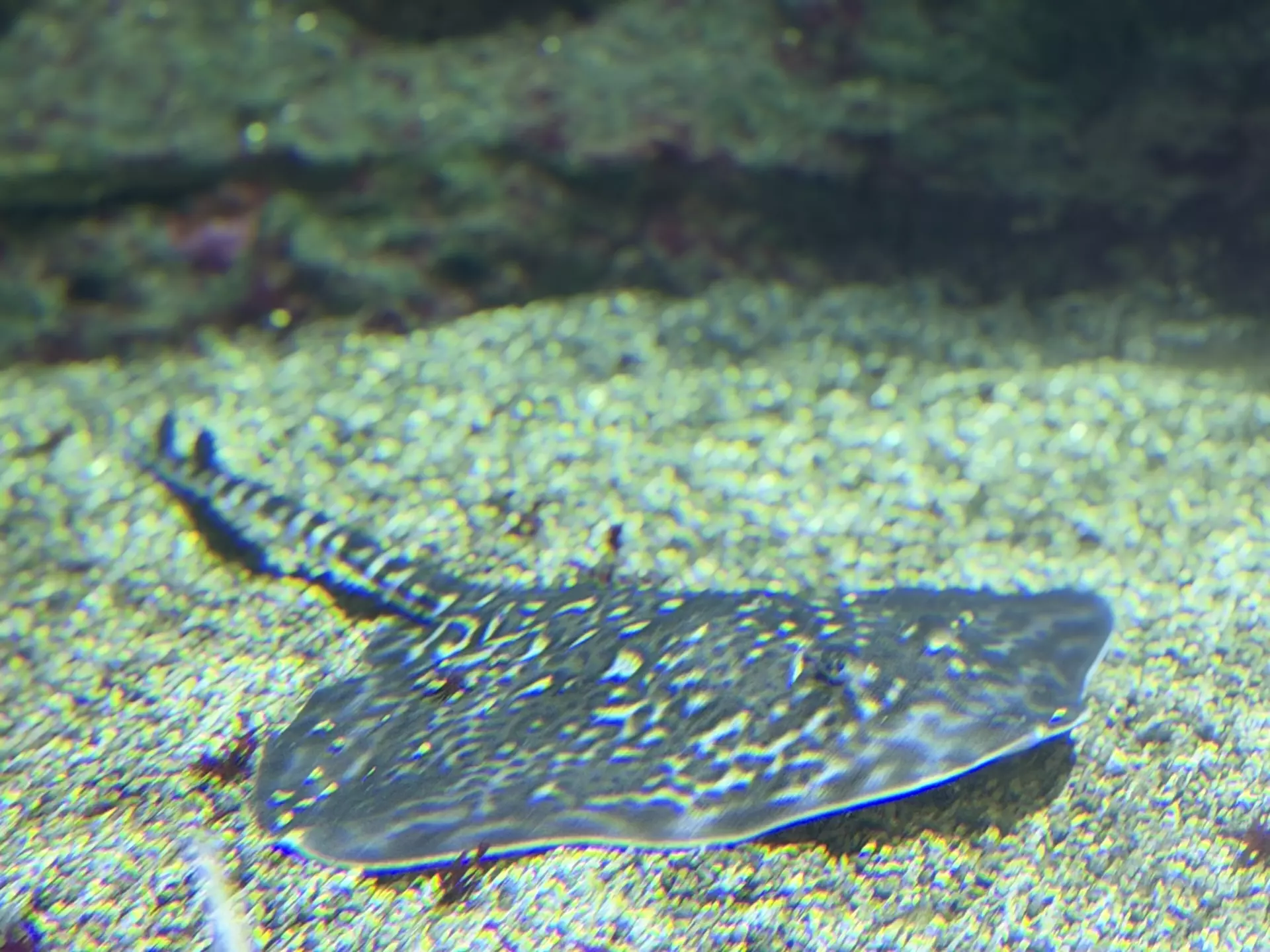 Séjour ✨ Un voyage ludique et culturel au cœur de la Normandie ✨ - Galerie La cité de la mer / deuxième jour