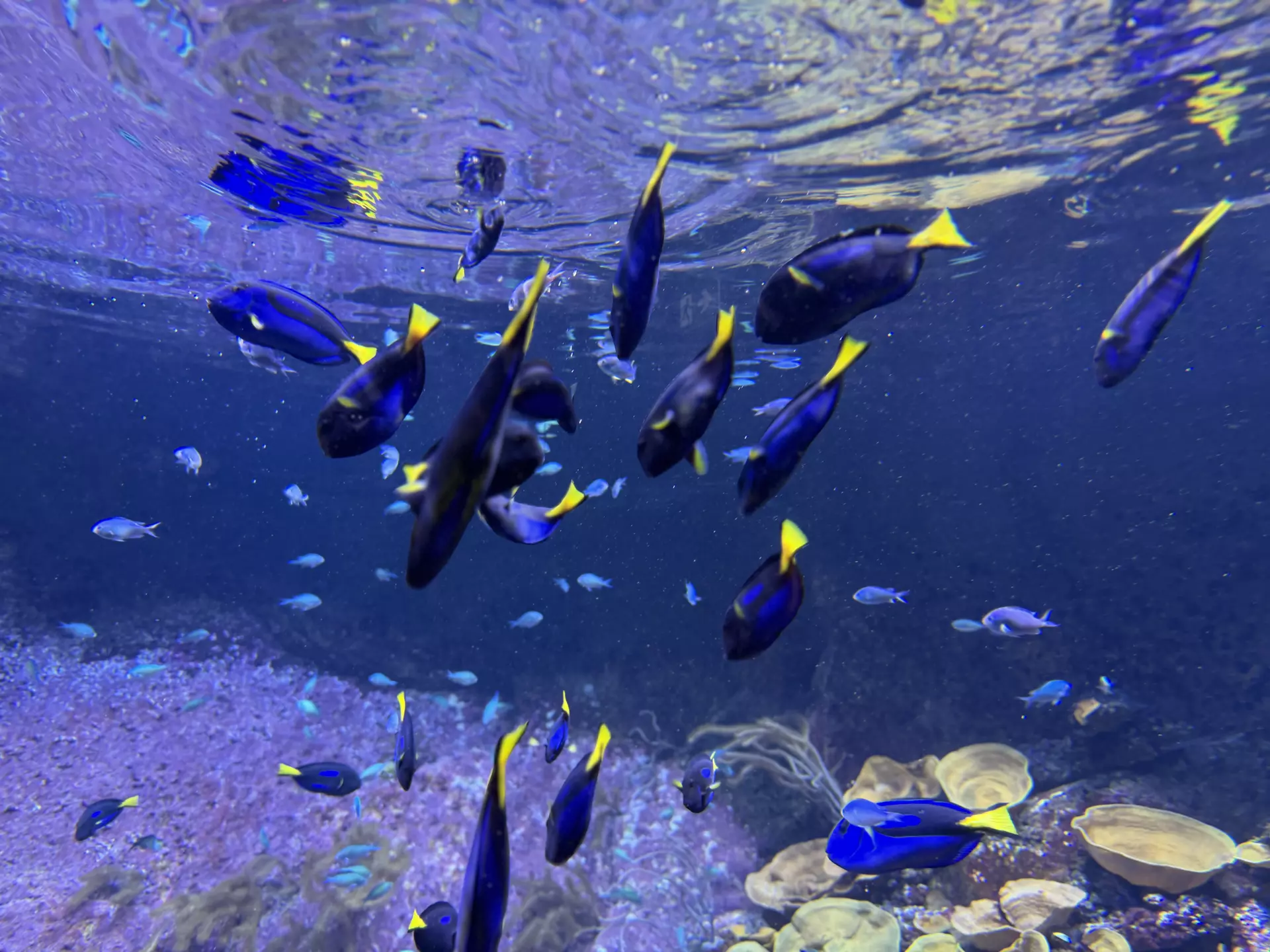 Séjour ✨ Un voyage ludique et culturel au cœur de la Normandie ✨ - Galerie La cité de la mer / deuxième jour