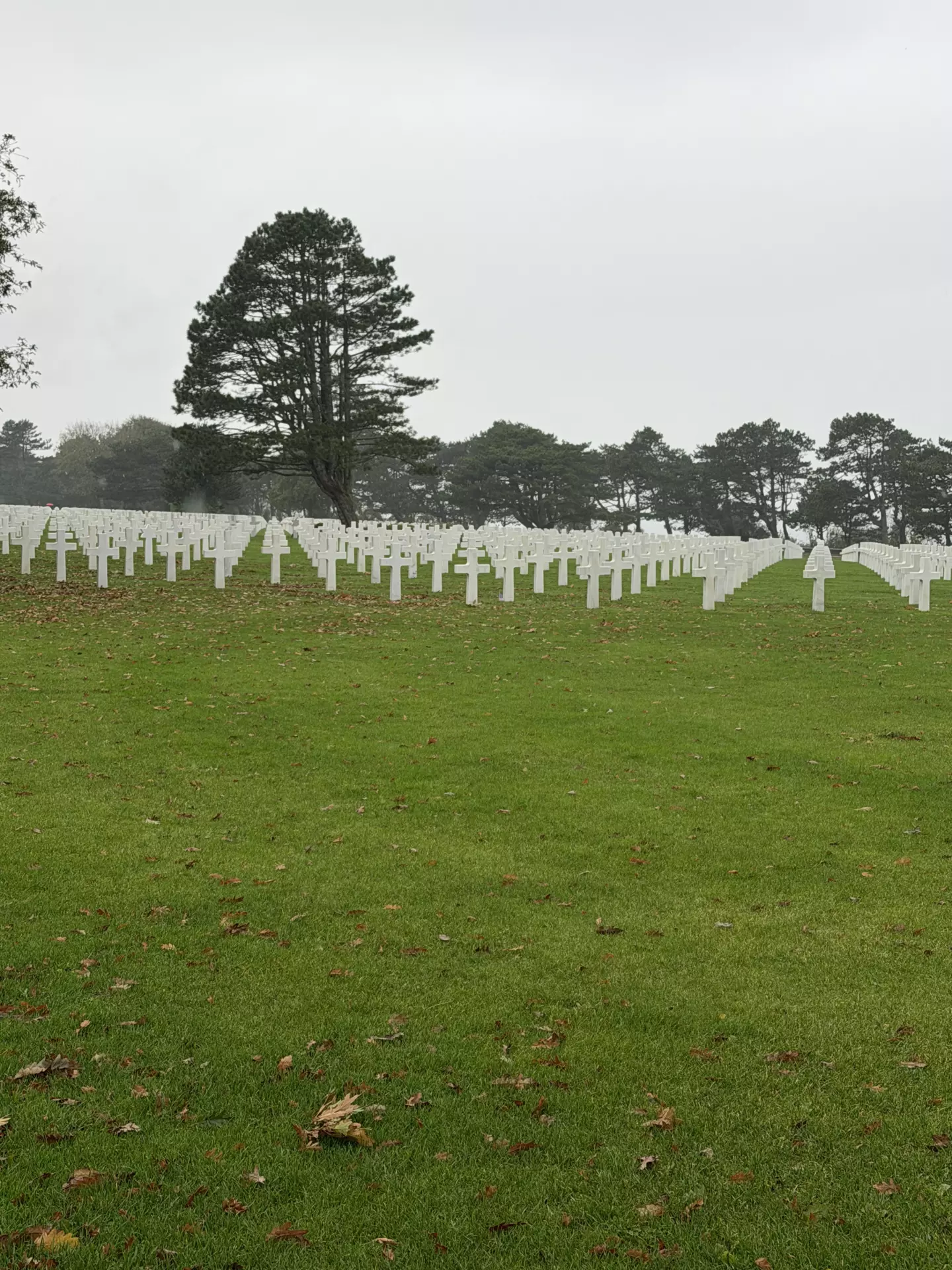 Séjour ✨ Un voyage ludique et culturel au cœur de la Normandie ✨ - Galerie Mont St Michel et visite de la ferme / jour 4