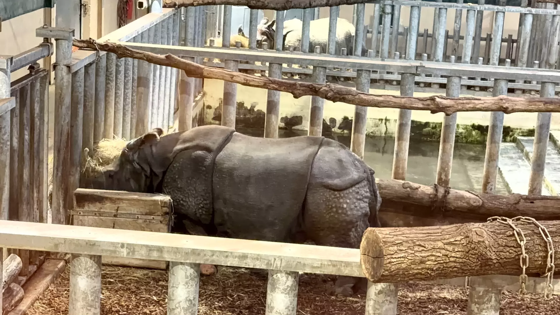 Séjour ✨ Un voyage ludique et culturel au cœur de la Normandie ✨ - Galerie Zoo de Beauval / jour 5